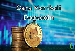 Dogecoin Jadul 2 Tahun